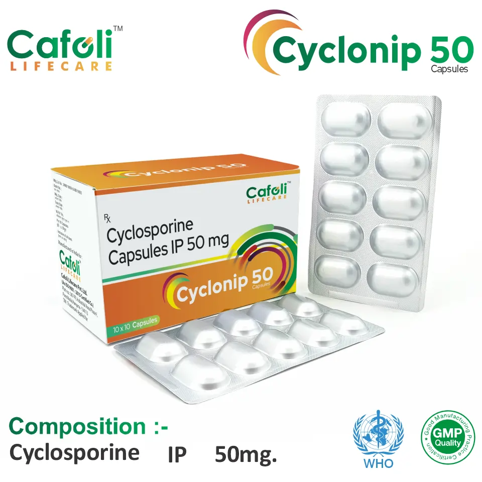 Cyclonip 50 Capsule for PCD Pharma Franchise